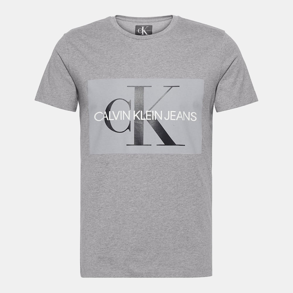 Calvin Klein T Shirt J30j307842 Grey Cinza Shot8