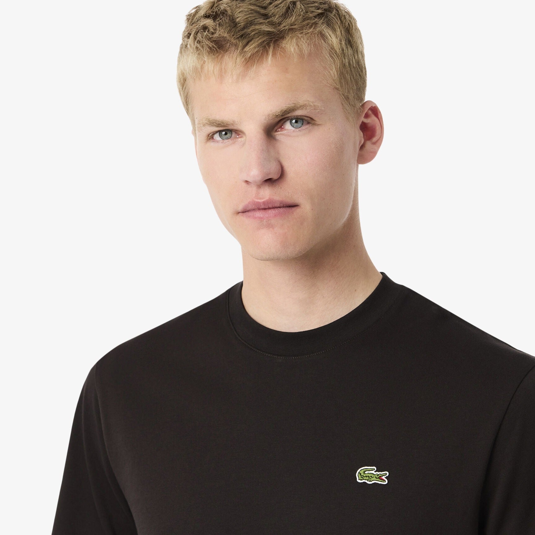 Lacoste T Shirt Th2038 Brown Castanho_shot6