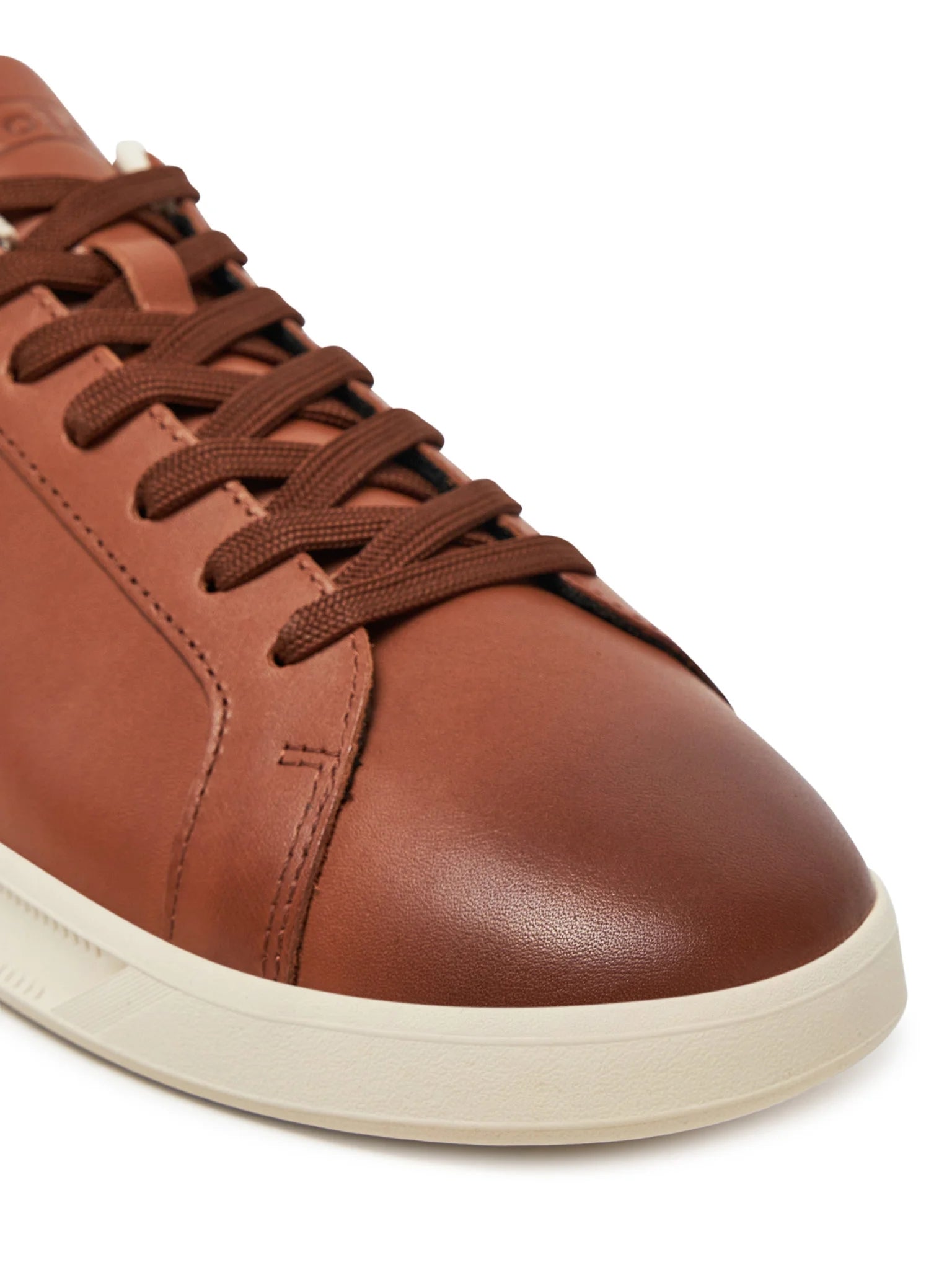 Ralph Lauren Sapatilhas Sneakers Shoes Hrtctii Sk Ath Tan Tan_shot2