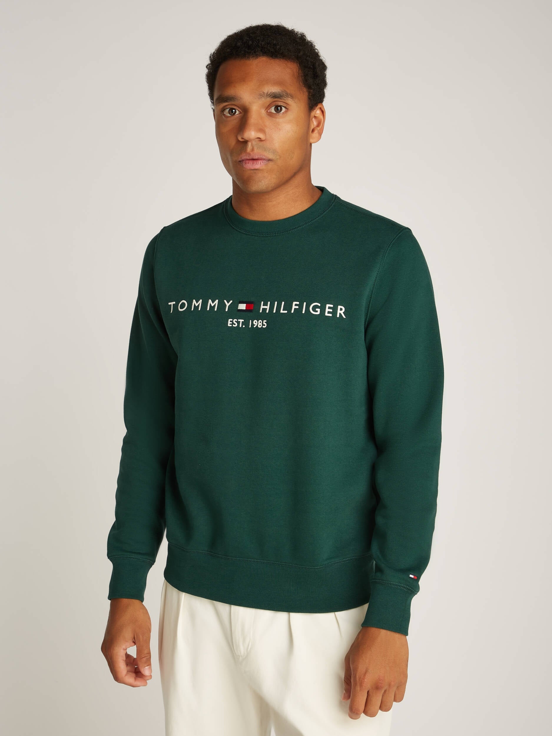 Tommy Hilfiger Camisola Sweat Mw0mw11596 Green Verde_shot4