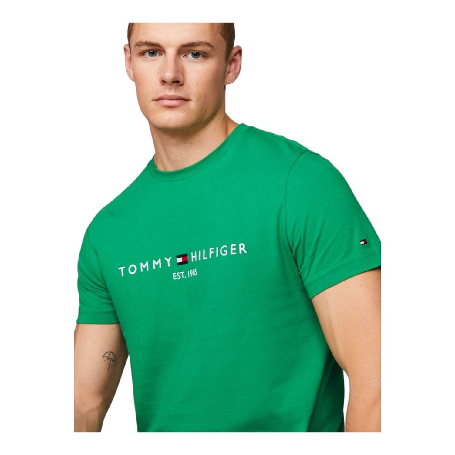 Tommy Hilfiger T Shirt Mw0mw11797 Green Verde_shot2