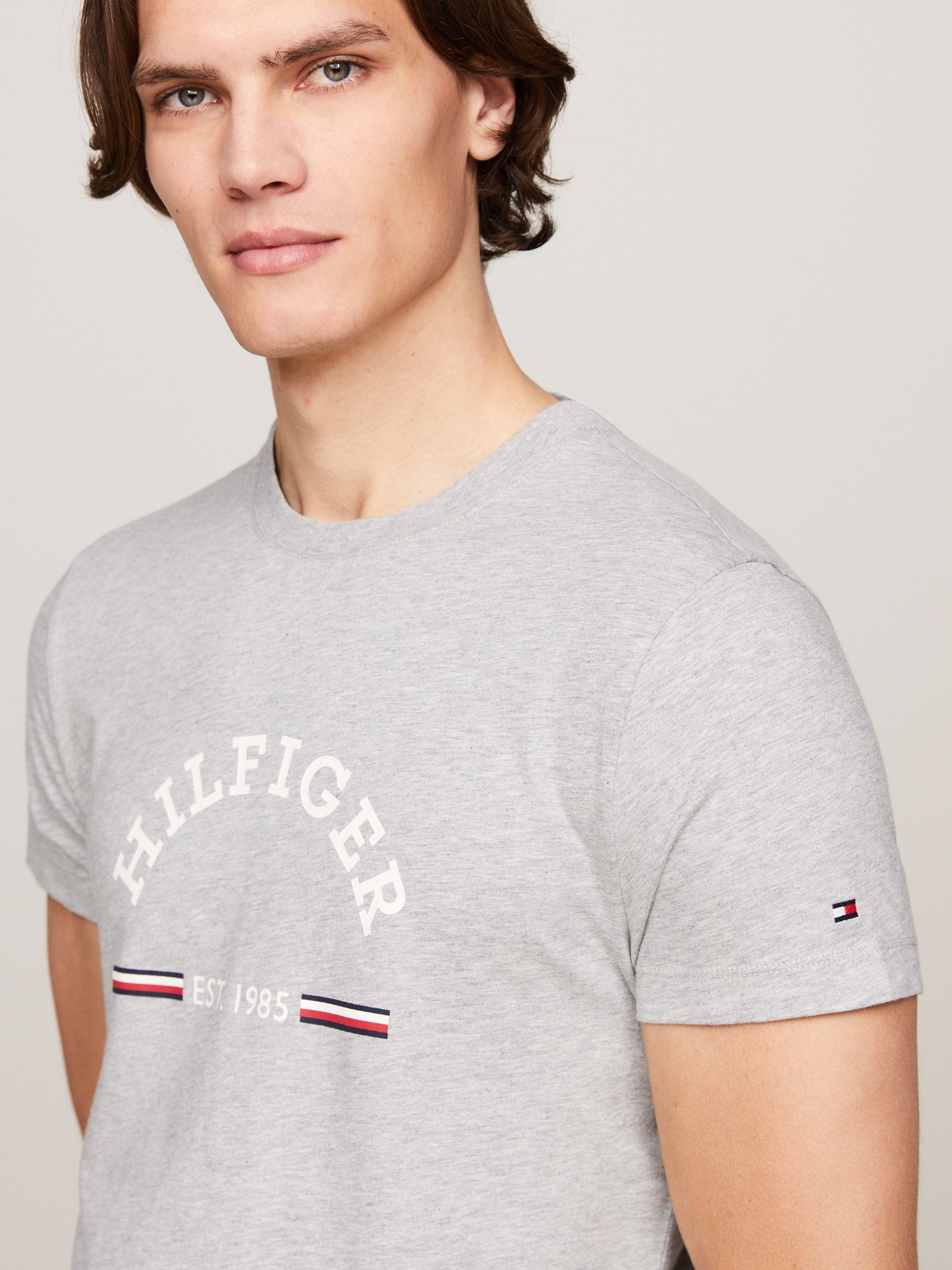 Tommy Hilfiger T Shirt Mw0mw35466 Grey Cinza_shot2