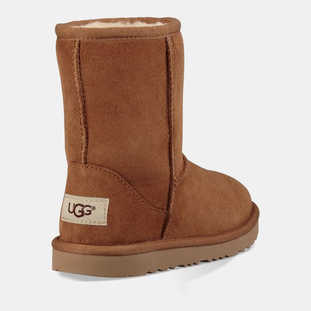 Ugg Botas Boots G1017703k Chestnut Chestnut Shot11